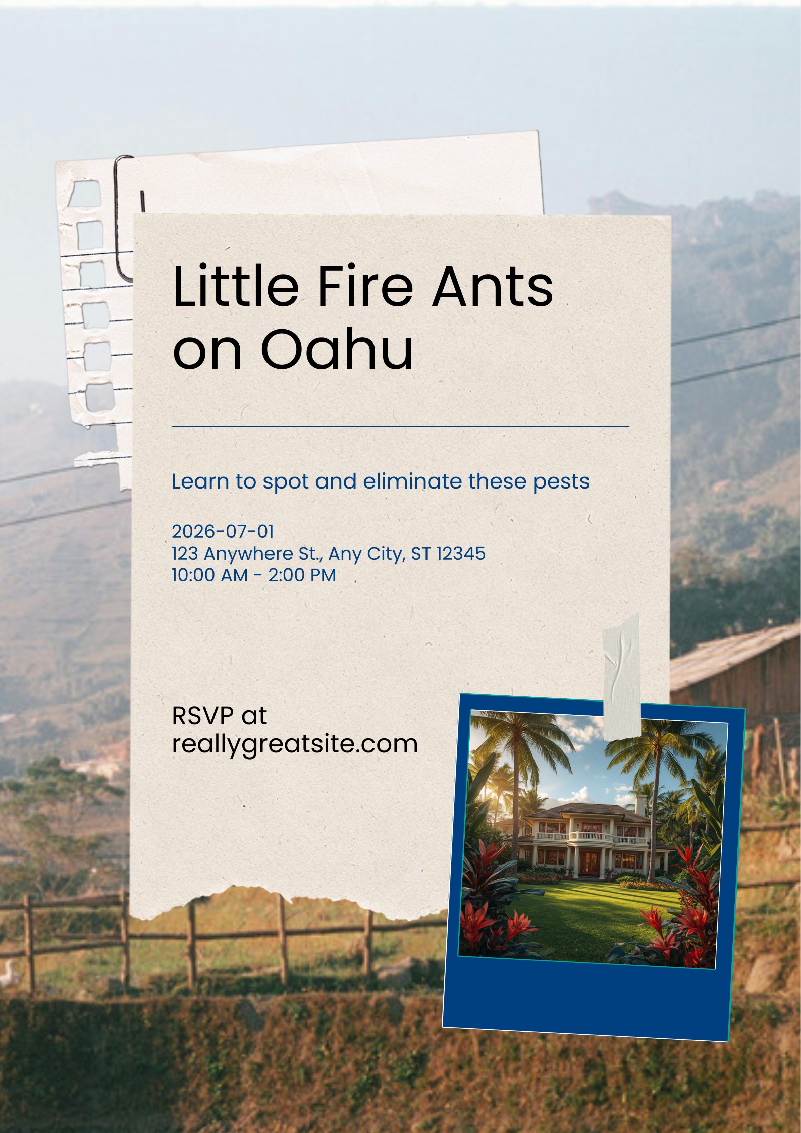Little Fire Ants on Oahu: How to Spot and Stop Them in 2026